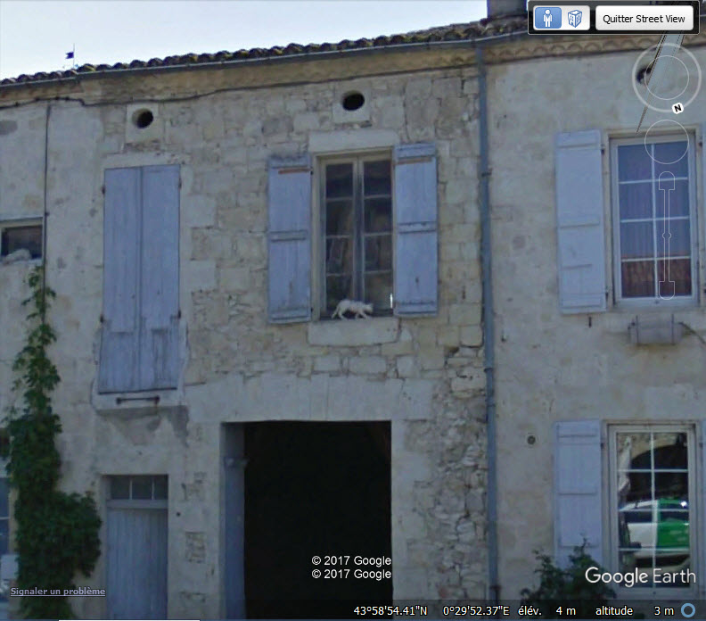 STREET VIEW / Les chats de La Romieu - Gers - France Www115