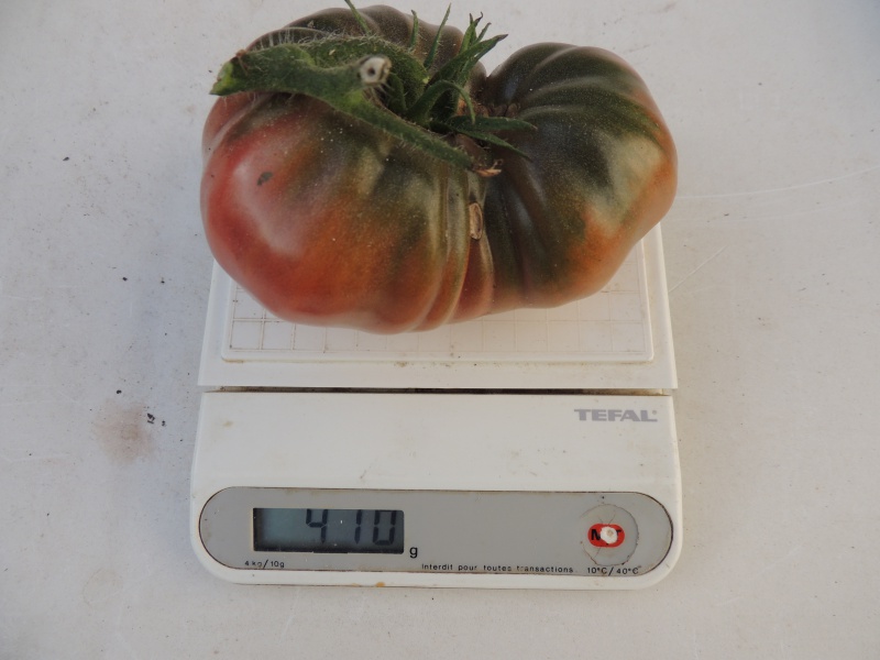Tomates - Page 36 68085710