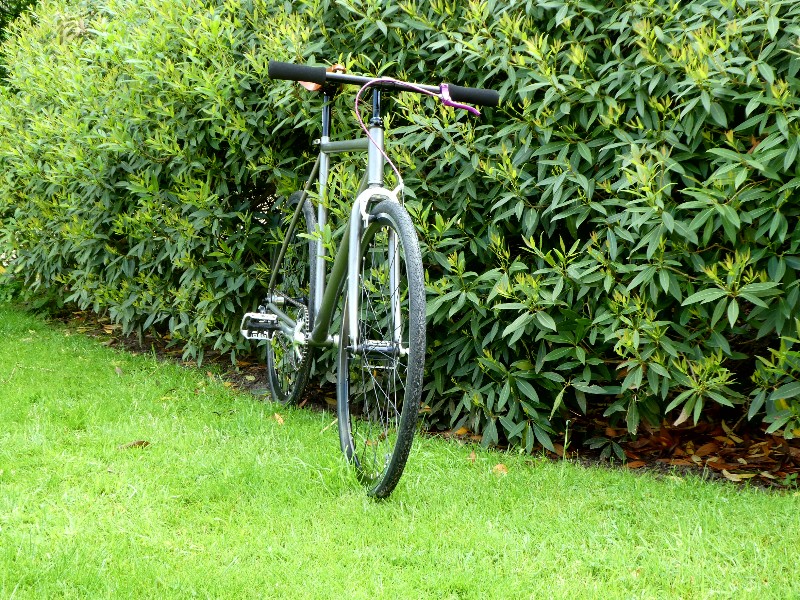 Projet "Single Speed" - Page 4 P1000124
