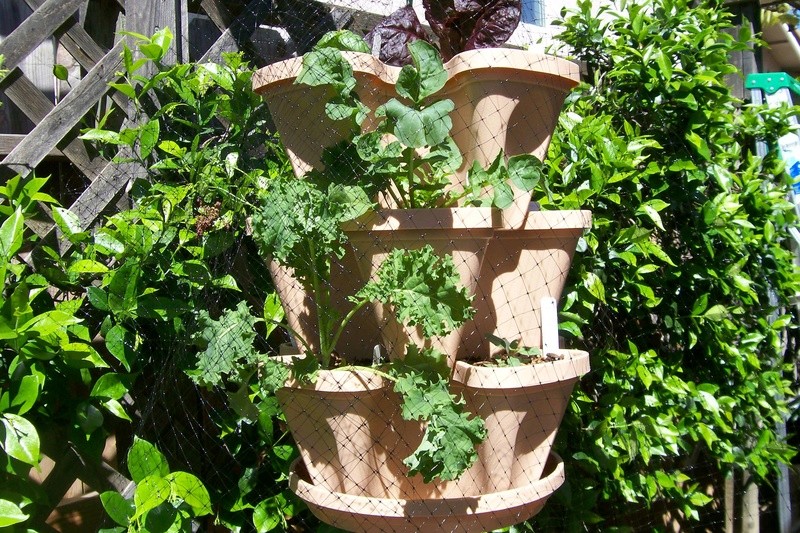 Garden Tower Project 4-9-1311