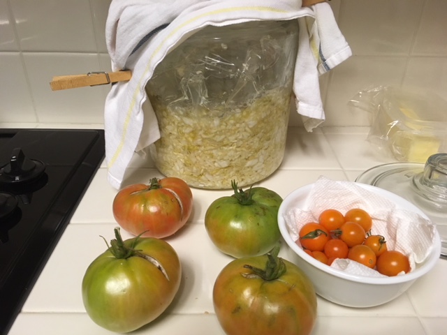 Sauerkraut & fermenting veggies - Page 3 Tomato11