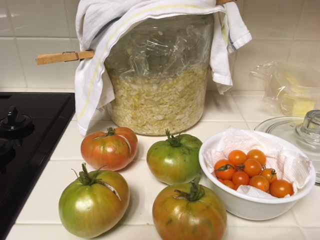 Sauerkraut & fermenting veggies - Page 3 Tomato11