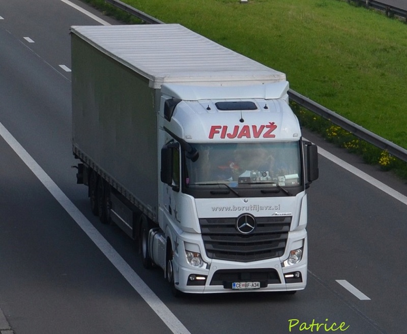 Borut Fijavz (Stranice) 29011