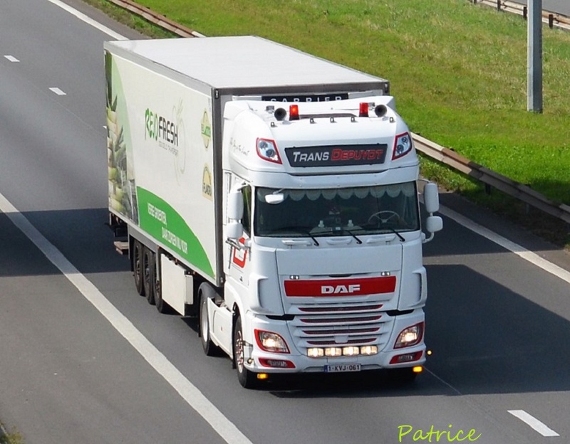 Trans Depuydt (Egem) 3112