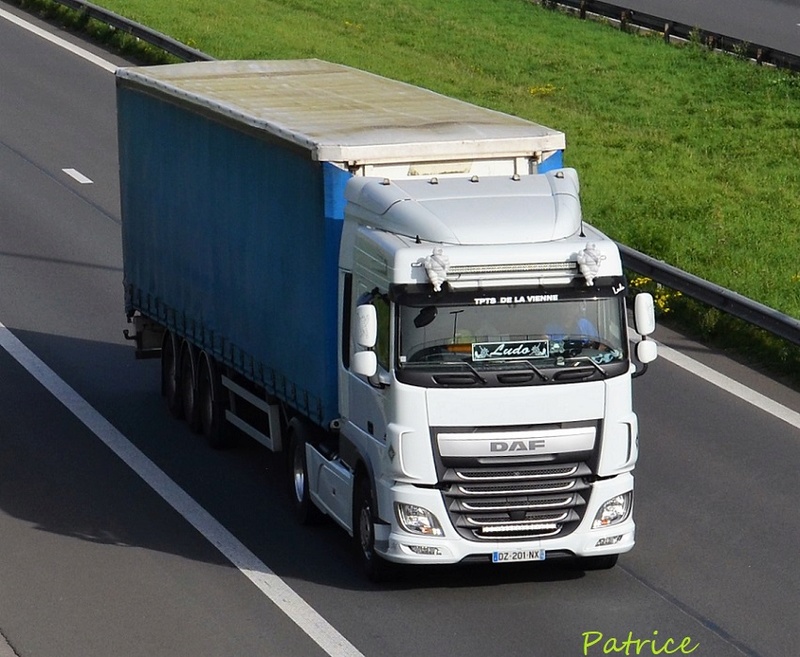 Transports de la Vienne (Beauval en Caux, 76) 46811
