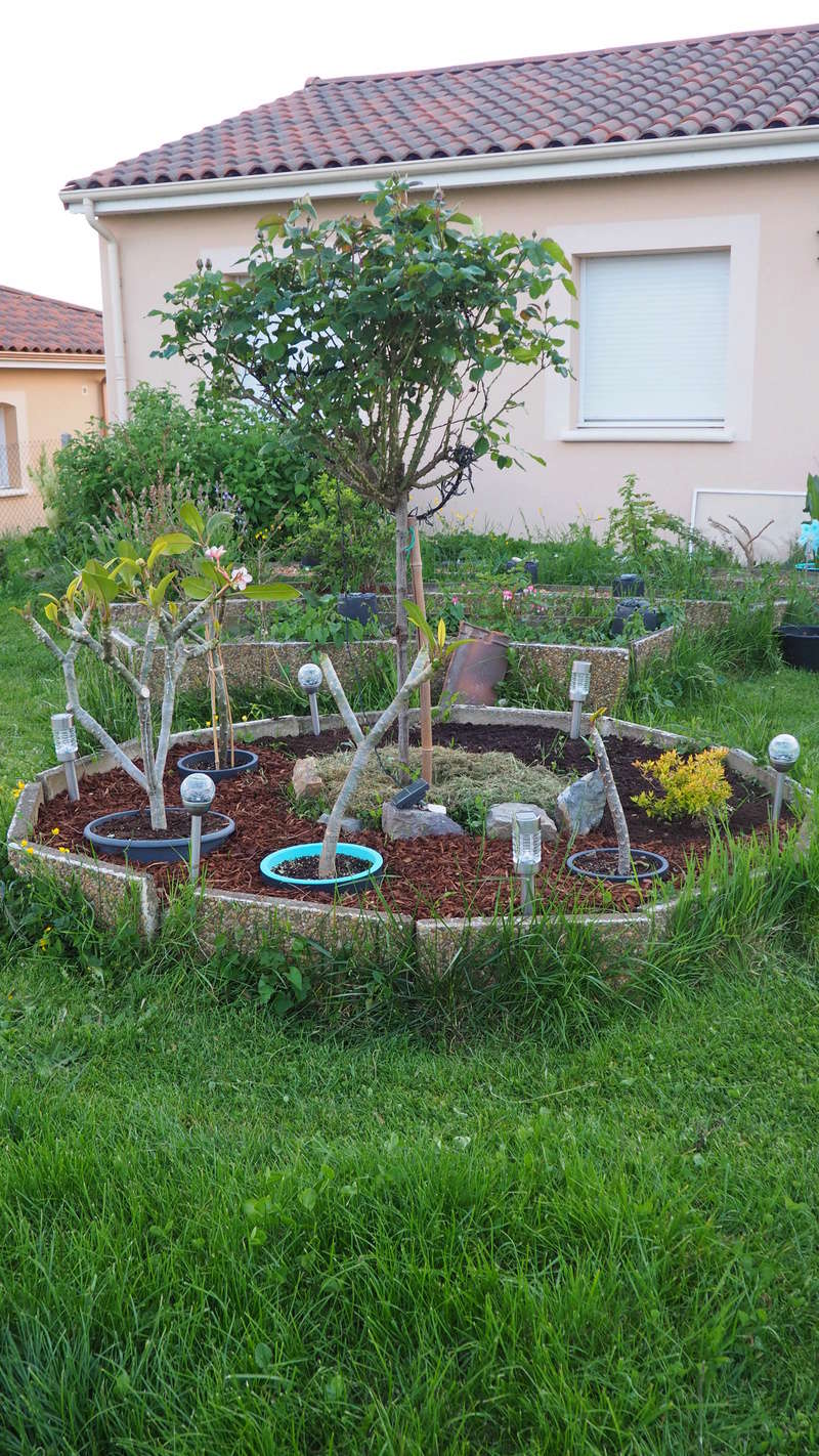 Mon jardin au commencement! - Page 4 P5061111