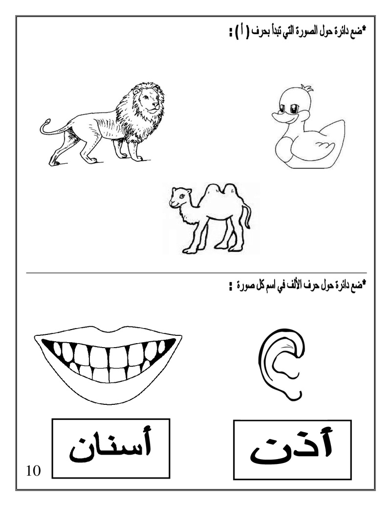 Arabic Booklet KG1 First Term 2017-2018 .jpg Arabic19