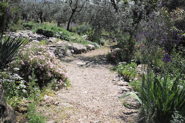 les jardins sont beaux en mai ! Chemin10