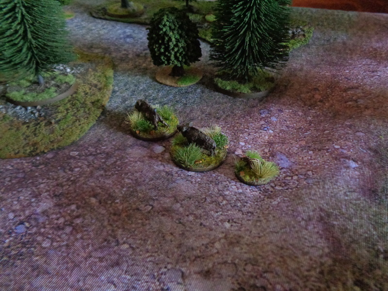 SAGA autrement: die Graoully jagd Dsc00515