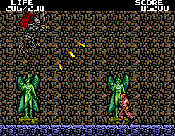 Danan : The Jungle Fighter (Master System) 70930-10