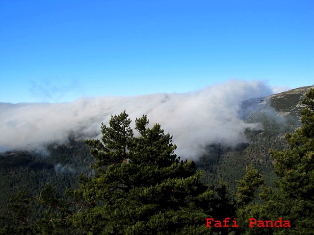 20171230 - PEÑA DEL ÁGUILA 01218