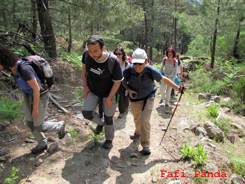 20180519 - PIEDRALAVES - CASTAÑAR DE LA ANGOSTURA 01236