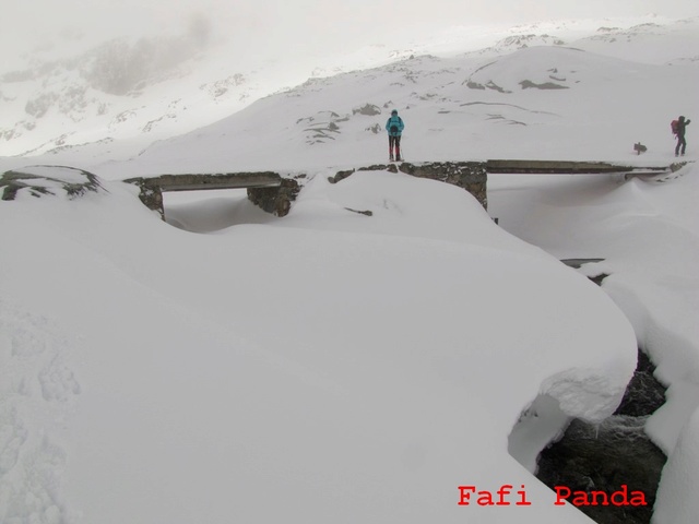 20180326 - CIRCO DE GREDOS 01828