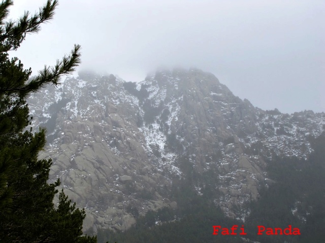 20180415 - PASEO POR LA PEDRIZA 02825