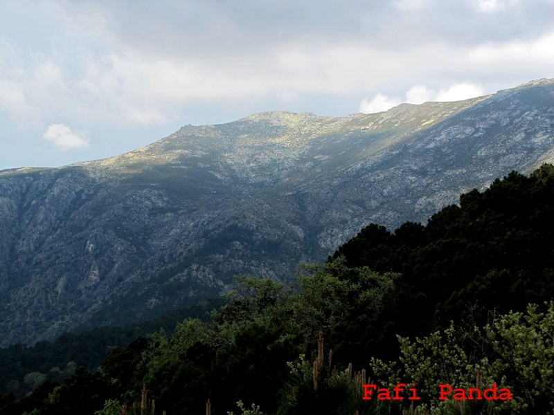 20180519 - PIEDRALAVES - CASTAÑAR DE LA ANGOSTURA 04330