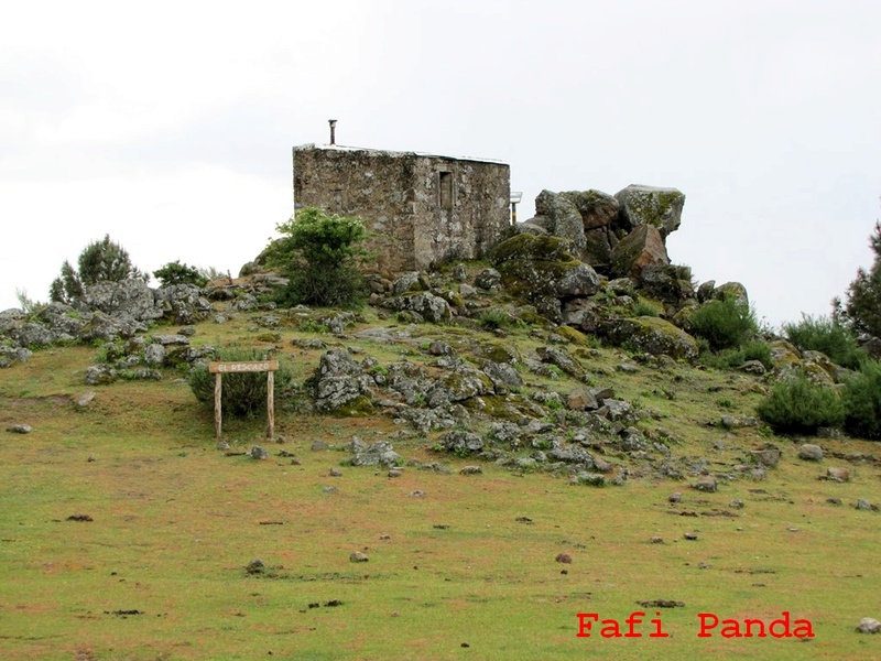 20180519 - PIEDRALAVES - CASTAÑAR DE LA ANGOSTURA 04928