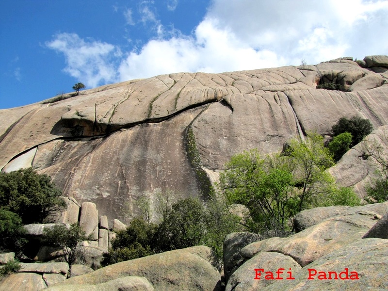 20180506 - LA PEDRIZA - SECTOR CANCHO DE LOS BREZOS 06316