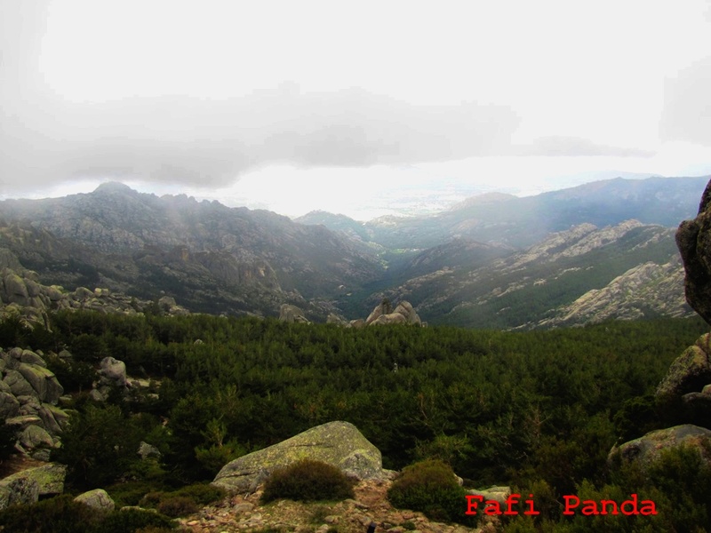 20180526 - LA PEDRIZA - LAS TORRES 06823