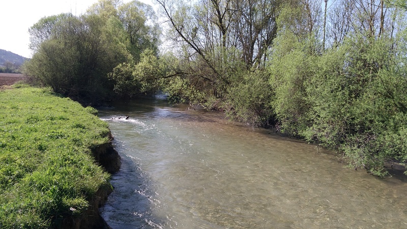 De passage en Haute-Marne P_201818