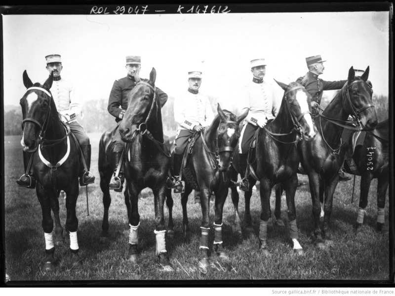 Les guêtres destinées aux chevaux  28-4-110