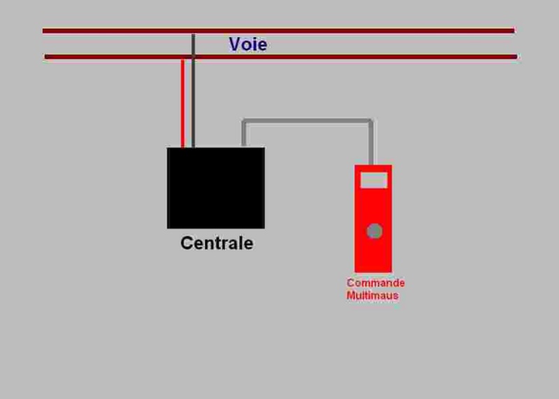 Cablage réseau Centra10