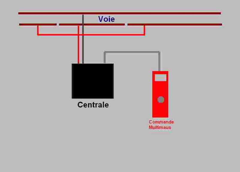 Cablage réseau Centra11