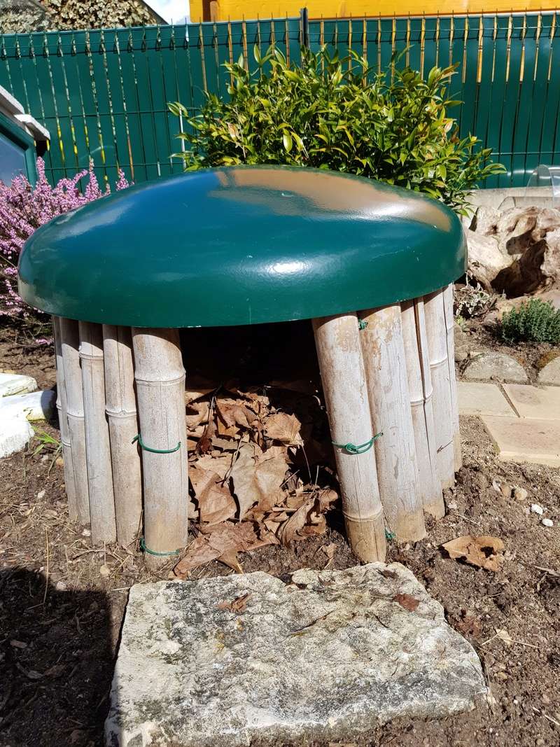 petits travaux dans les enclos - Page 2 1310