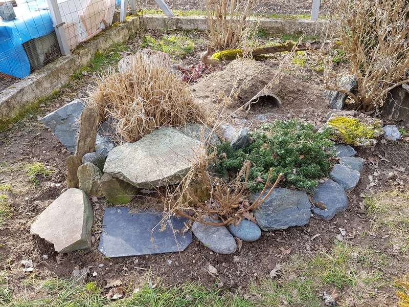 petits travaux dans les enclos 20180314