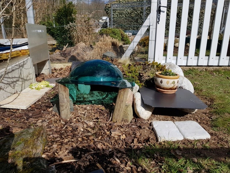 petits travaux dans les enclos - Page 2 612