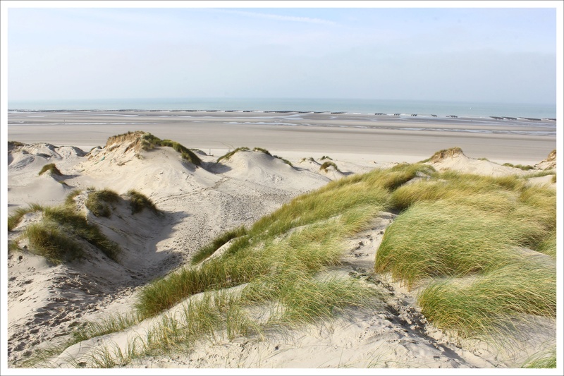 La Baie de Somme en automne ~ 22-27/10/2017 1u11