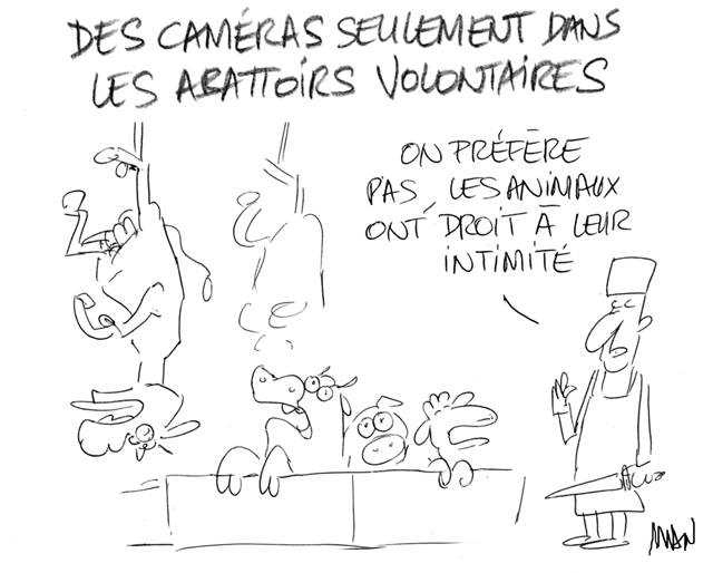 Actu en dessins de presse - Attention: Quelques minutes pour télécharger - Page 15 33769810