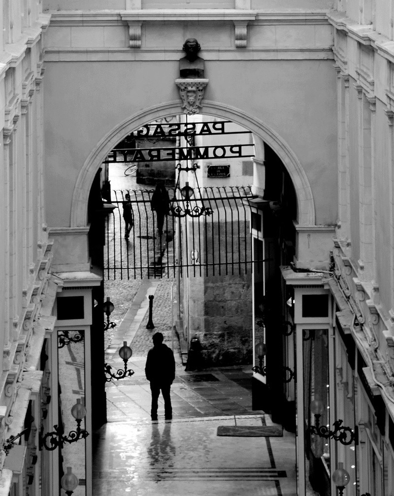 Passage Pomeraye Nantes Copie_11