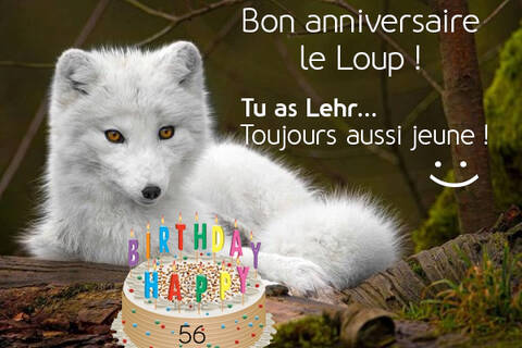 C Est Au Tour De Notre Loulou