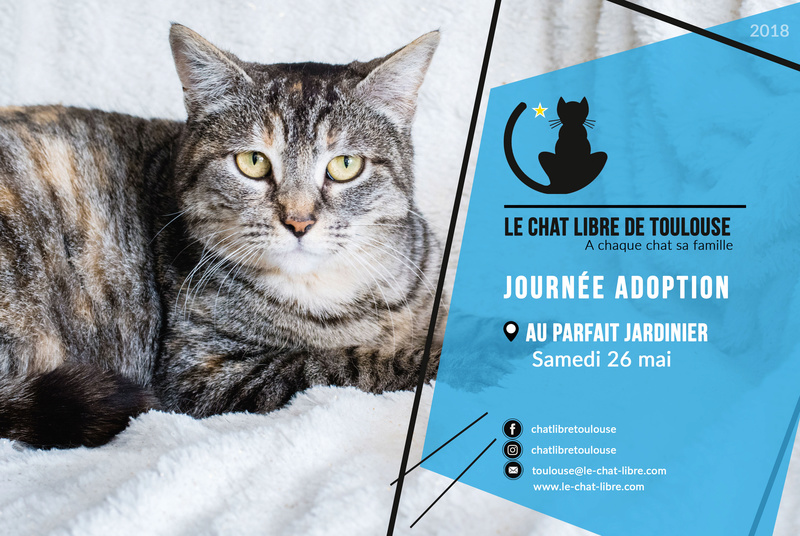 [ Adoptions ] Samedi 26 mai : Au Parfait Jardinier Journe11