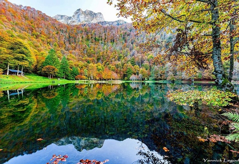 AMis Midi Pyrénéens, une visue Automnale, ça vous tente ? 22853110
