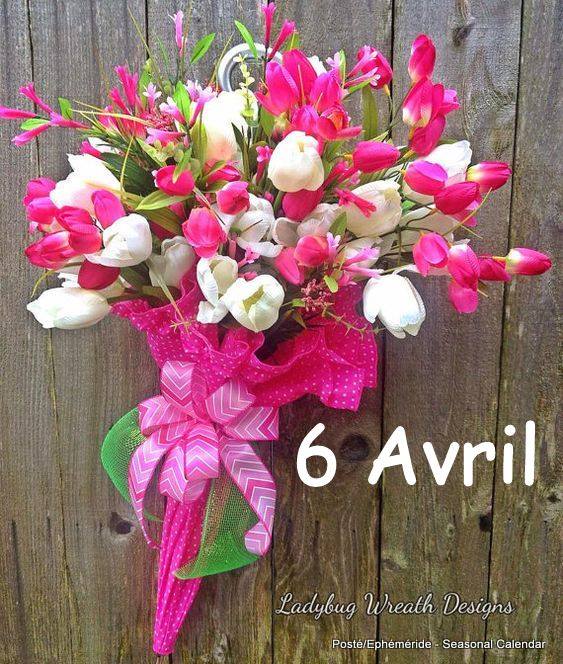 Vendredi 06 avril 2018 ...... Journée ensoleillée pour tout le monde ! 30221310