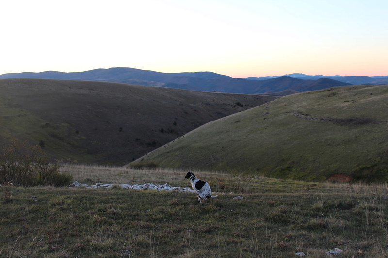 12-30-48 Aveyron-Gard-Lozère saison 2017/2018 - Page 2 Img_7229