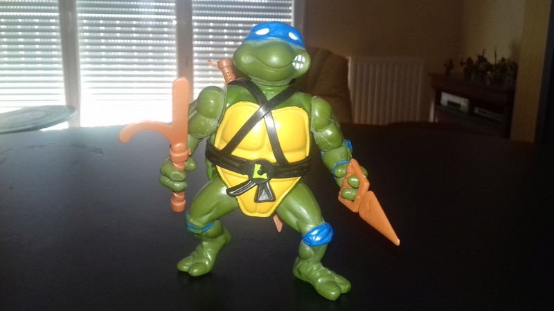 Ma collection Tortues Ninjas vintage 20180335