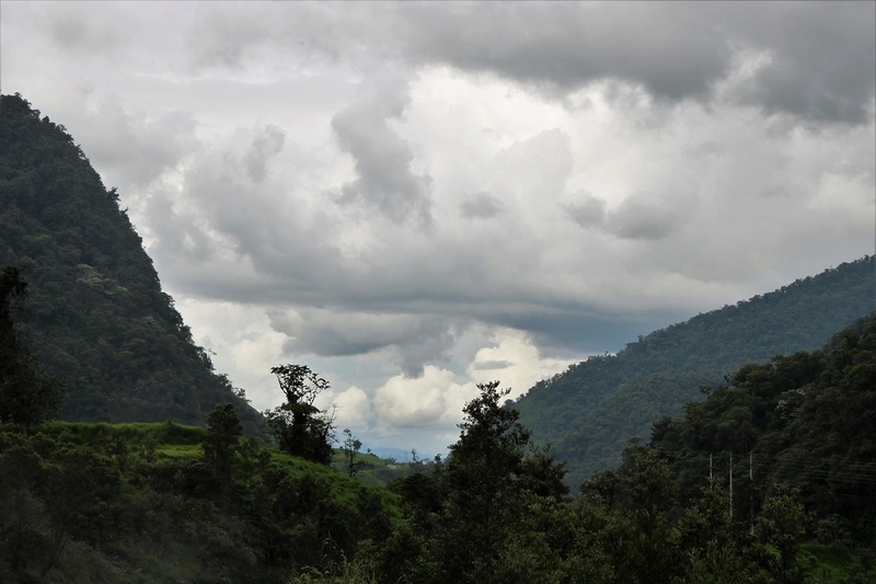 La ruta 45… Puyo-Quito-Lago Agrio Publié le 3 décembre 2018 par Alain et Stéphanieago Agrio Publié le 3 décembre 2018 par Alain et Stéphanie 0211