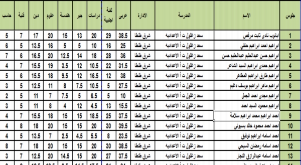 نتيجة اعدادية محافظة الغربية 2018 ملف Excel بالاسم ورقم الجلوس 01140