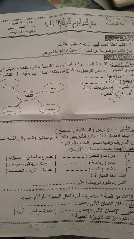 امتحان اللغة العربية للصف الخامس الابتدائي الترم الثاني 2018 ادارة سمسطا التعليمية 10118