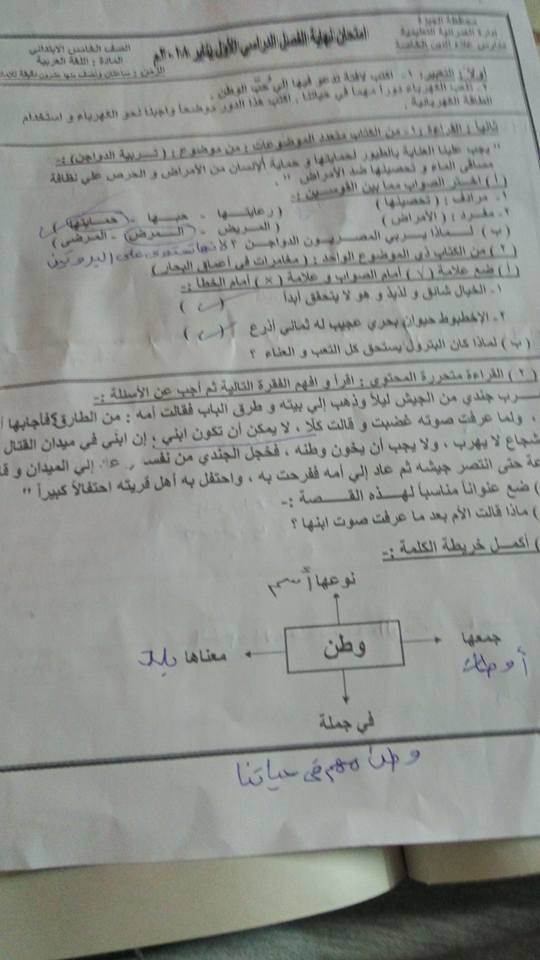 امتحان اللغة العربية للصف الخامس نصف العام 2018 اداره العمرانية -جيزة 1330