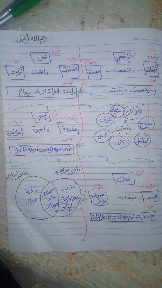 قرائية درس أرض الذهب لغة عربية الثالث الابتدائي ترم ثاني 2505
