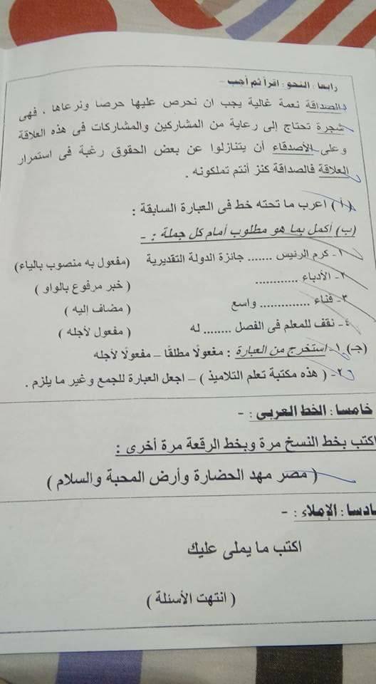 امتحان اللغة العربية للصف الخامس الابتدائي الترم الثاني 2018 محافظة بورسعيد 5382