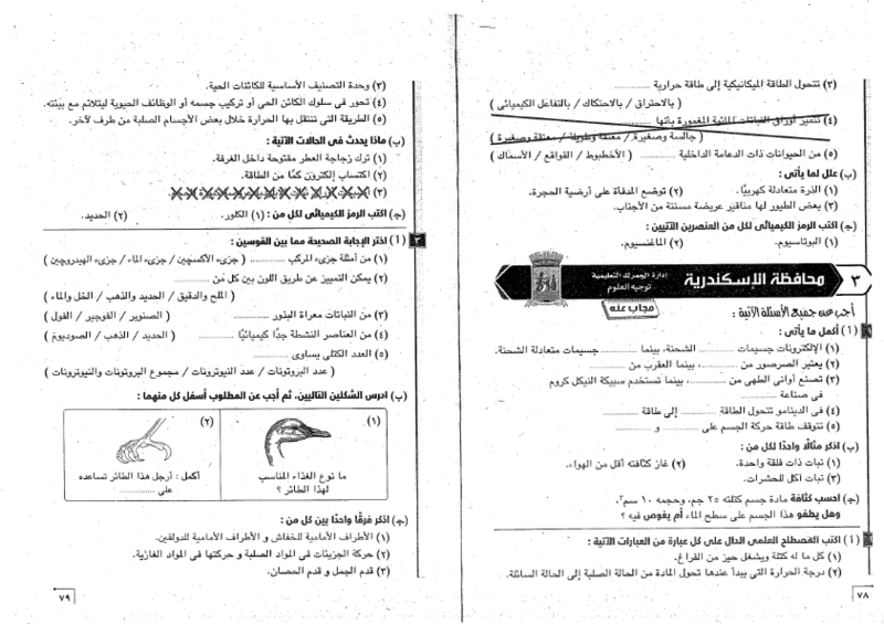 25 امتحان علوم لن يخرج عن امتحان نصف العام للأول الاعدادي