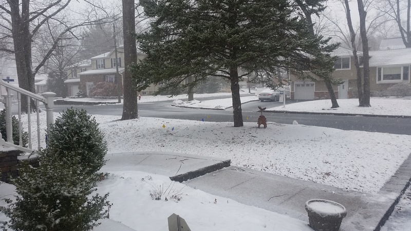 March Madness! Spring Snowstorm Observations Part II - Page 3 20180311