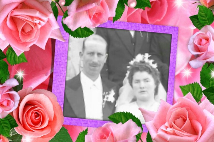 Montage de ma famille - Page 6 Roses_13