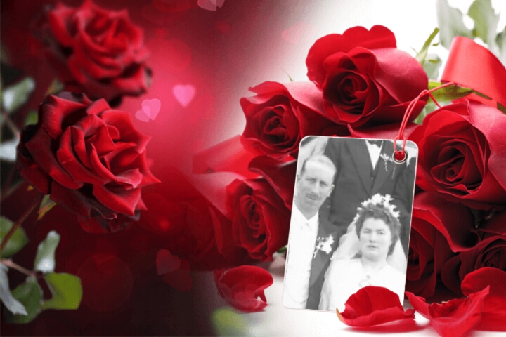 Montage de ma famille - Page 6 Roses_21