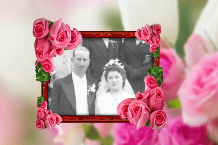 Montage de ma famille - Page 6 Roses_23