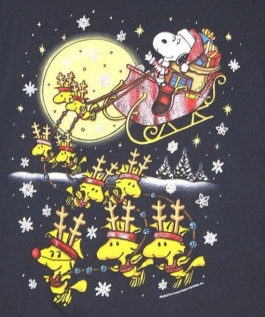 Compte à rebours avant Noël - Page 3 Snoopy10
